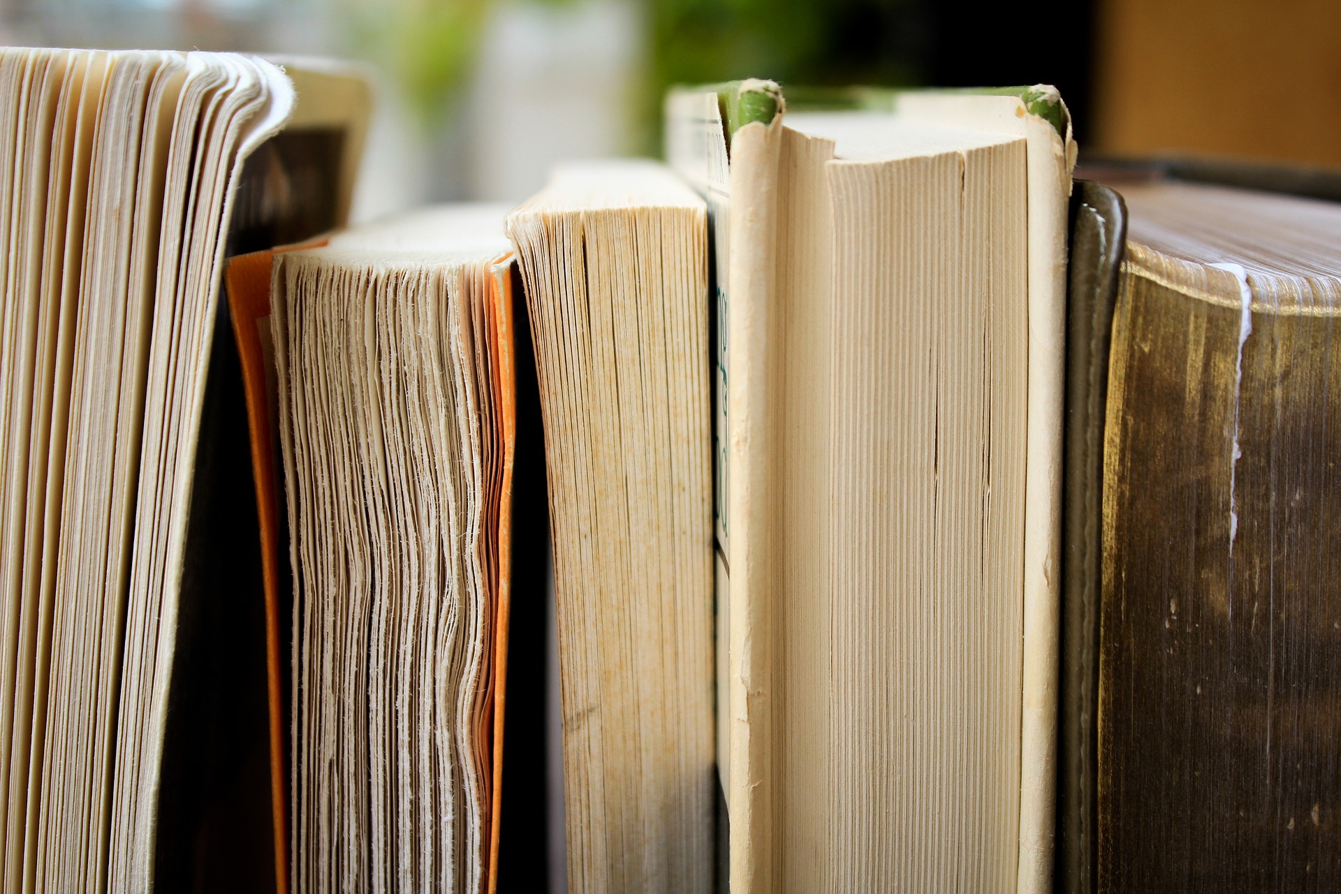 photo of bookshelf
