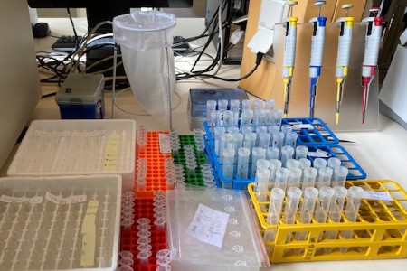 view of test tubes in racks